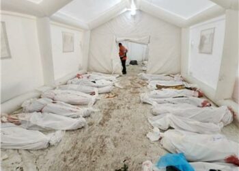 بسبب مخاوف من "كارثة صحية".. فتوى فلسطينية عاجلة لدفن شهداء العدوان 2025