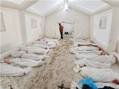 بسبب مخاوف من "كارثة صحية".. فتوى فلسطينية عاجلة لدفن شهداء العدوان 1 بسبب مخاوف من "كارثة صحية".. فتوى فلسطينية عاجلة لدفن شهداء العدوان 2025