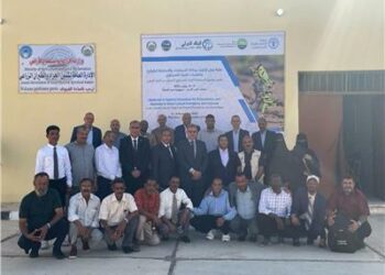  وزارة الزراعة المصرية : البلاد ترفع حالة  الطوارىء بسبب  الجراد الصحراوي 2025