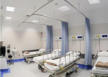 مصر : ظهور حالات بشرية مصابة بسلالة جديدة من أنفلونزا الطيور 2025