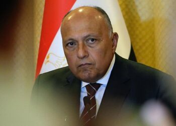 شكري يكشف موقف مصر من التحالف الدولي ضد الحوثيين 2024