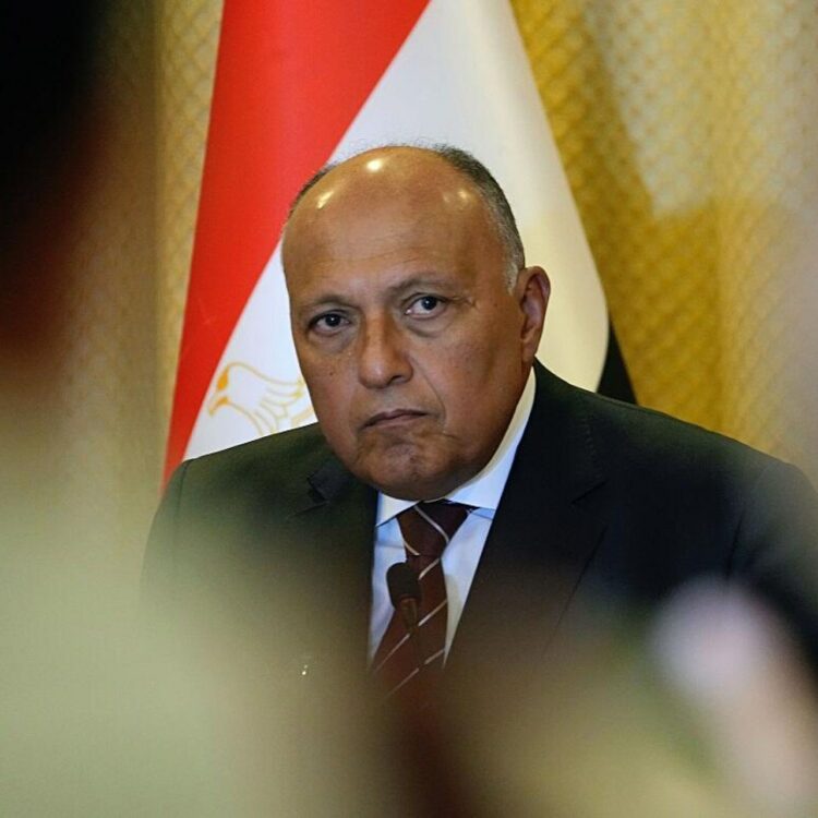 وزير الخارجية المصري يتوجه إلى قبرص 2024