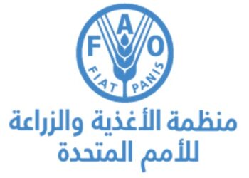 تقرير أممي للفاو يحذر من انتشار الجوع في الدول العربية 2025