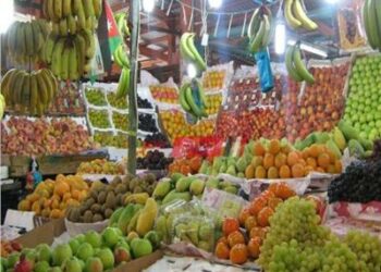 اختفاء بعض أنواع الفاكهة من السوق المصرى بسبب ارتفاع أسعارها 2024