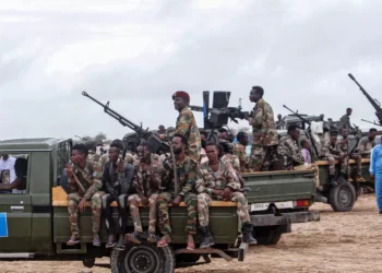 برلماني إثيوبي يستبعد توجيه اتفاقية التعاون الدفاعي بين الصومال وتركيا ضد إثيوبيا 2025