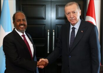 أردوغان يؤكد لشيخ محمود دعم تركيا للصومال 2024