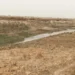 العراق : أردوغان لا يريد منحنا حصة عادلة من المياه لنهري دجلة والفرات 2024