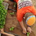 A Jewish boy sows lettuce plants in a greenhouse at the Jewish Gaza Strip settlement of Kfar Darom in Gush Katif settlements bloc August 11, 2005. [U.S. President George W. Bush says a planned pullout of Jewish settlers from occupied Gaza "will be good for Israel". Bush's remarks, in an interview given to Israel's Channel One television and aired on Thursday, appeared to be an attempt to boost Prime Minister Ariel Sharon against Jewish rightists seeking to thwart the withdrawal due to start on August 17].