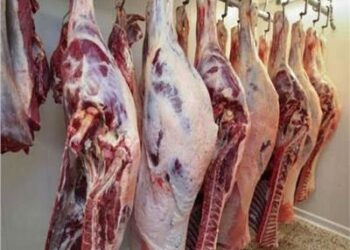 لاول مرة منذ بداية العام …انخفاض أسعار اللحوم في الأسواق اليوم الجمعة 5 أبريل 2024