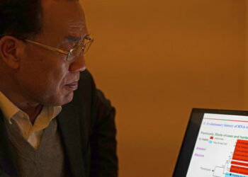 Zhang Yongzhen, the first scientist to publish a sequence of the COVID-19 virus, looks at a presentation on his laptop in a coffeeshop in Shanghai, China on Dec. 13, 2020. Zhang was staging a sit-in protest after authorities locked him out of his lab. Zhang wrote in an online post on Monday, April 29, 2024, that he and his team were suddenly notified they were being evicted from their lab, the latest in a series of setbacks, demotions and ousters since he first published the sequence in early January 2020.(AP Photo/Dake Kang)