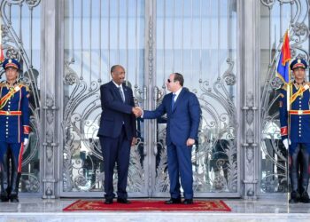 مصادر سودانية: البرهان يستعد لزيارة مصر ويجري مباحثات مع السيسي 2024