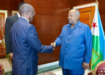 لقاء في جيبوتي يبحث أخر تطورات حرب السودان 2024