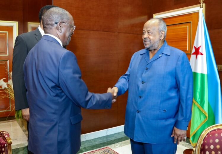 لقاء في جيبوتي يبحث أخر تطورات حرب السودان 2024