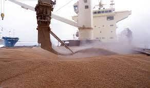 شراء 470 ألف طن من القمح: مصر تتجه إلى بلغاريا وأوكرانيا وروسيا ورومانيا 2024
