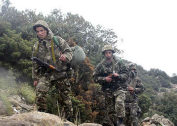 Soldiers arrive at the site of a military plane crash near the village of Ouled Gacem in eastern Algeria, about 500km (311 miles) from the capital Algiers February 12, 2014. The military transport plane carrying members of the Algerian armed forces and their relatives crashed into a mountain on Tuesday, killing 77 people, the worst air disaster in the North African country in a decade.   REUTERS/Louafi Larbi  (ALGERIA - Tags: TRANSPORT DISASTER MILITARY)