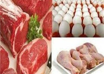 ارتفاع قياسى فى أسعار الدواجن واللحوم اليوم 22 مايو فى مصر 2024