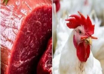 ارتفاع أسعار الدواجن واللحوم اليوم الاثنين 27 مايو…رغم منافذ بيع الحكومة المصرية 2024