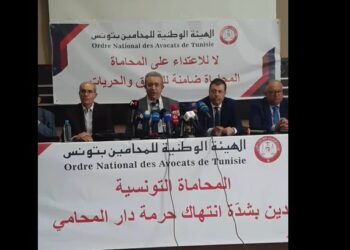 تصعيد المحامين في تونس ردا على اعتقال المحامية سنية الدهماني 2024