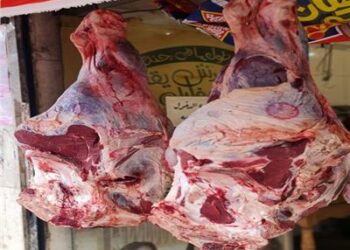 مصر : ارتفاع اسعار اللحوم الحمراء بشكل قياسى اليوم الخميس. 2024
