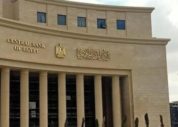 البنك المركزي المصري يصدر قواعد جديدة لقيد وشطب مكاتب المحاسبة ومراقبي الحسابات 2024