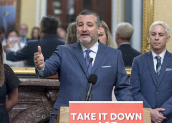 Sen. Ted Cruz, R-Texas, speaks about a bill to help protect victims of deepfakes and revenge porn, at the Capitol in Washington, Tuesday, June 18, 2024. (AP Photo/J. Scott Applewhite)