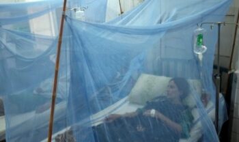 البعوضة الزاعجة تنقل حمى الضنك في إيران: إصابات تتجاوز المائة 2024