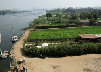 A general view of Dahab Island or Gold Island (Gezirit el-Dahab) in the middle of the Nile River in Cairo, Egypt, July 2, 2024. Egypt’s new Ring Road expansion cuts through Dahab Island, located in the metropolitan region of Cairo on the Nile River, which was once fertile agricultural land, is now destroyed due to the lack of sunlight. REUTERS/Amr Abdallah Dalsh