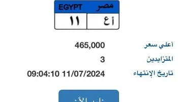 رغم ارتفاع تكاليف المعيشة بمصر ….غضب شعبى عارم بعد عرض لوحة سيارة فى مزاد بملايين الحنيهات 2024