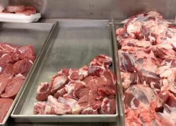 ارتفاع ملحوظ في أسعار اللحوم الحمراء "البتلو" في الأسواق، بكم كيلو اللحمه 2024