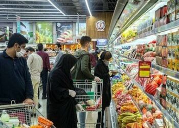 طهران تواجه أزمة اقتصادية: التضخم في إيران يتخطى 30% وصعوبة في السيطرة عليه 2024