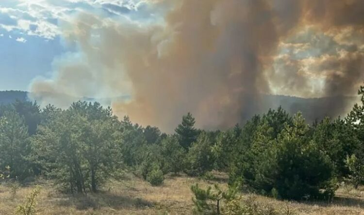 اندلاع حريق في غابات أكسو في أنطاليا جنوب غرب تركيا 1 اندلاع حريق في غابات أكسو في أنطاليا جنوب غرب تركيا 2025