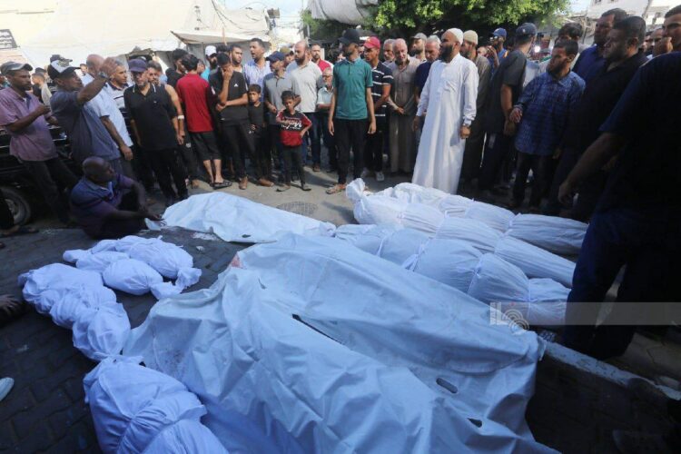 الجزائر تدعو لعقد جلسة طارئة لمجلس الأمن الدولي لمناقشة مجزرة حي الدرج في غزة 2025