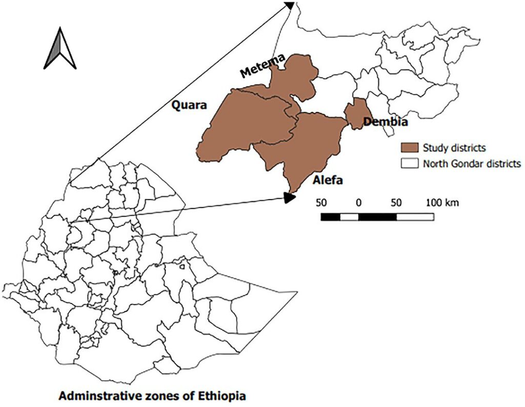 إثيوبيا قوات فانو/أمهرة تسيطر على 75% من الحدود مع السودان 2024