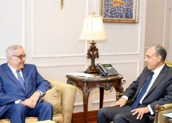 اجتماع مغلق بين وزيري خارجية مصر ولبنان لبحث التصعيد الإسرائيلي 2024