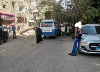 شهود عيان … سقوط شجرة كبيرة علي سيارة ميكروباص بسبب الرياح بالقاهرة 2024