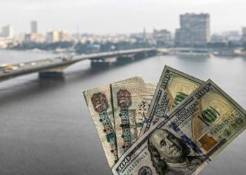 البنك المركزي المصري: تحويلات المصريين بالخارج تقفز 45.3% خلال 10 أشهر 2024