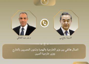 وزير الخارجية المصري لنظيره الصيني: خطتنا لإعادة إعمار غزة تحظى بدعم عربي 2025