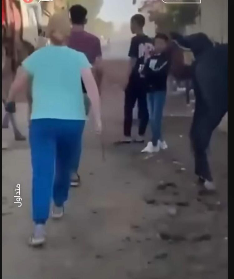 أسترالية تُعيد للحمار المصري كرامته.. قصة إنقاذ أذهلت أهل أبو صير 1 أسترالية تُعيد للحمار المصري كرامته.. قصة إنقاذ أذهلت أهل أبو صير 2025