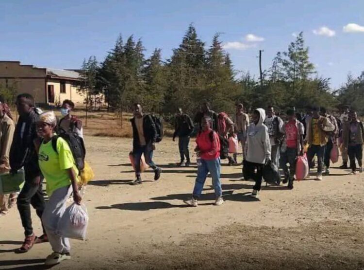 إثيوبيا: بطء في جهود إعادة تأهيل المقاتلين السابقين في تيغراي رغم الأهداف المعلنة 2025