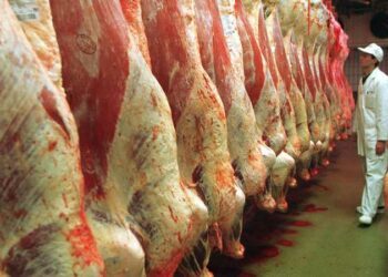 أميركا تعلق استيراد الماشية من المكسيك.. كيف ستتأثر أسعار اللحوم؟ 2025