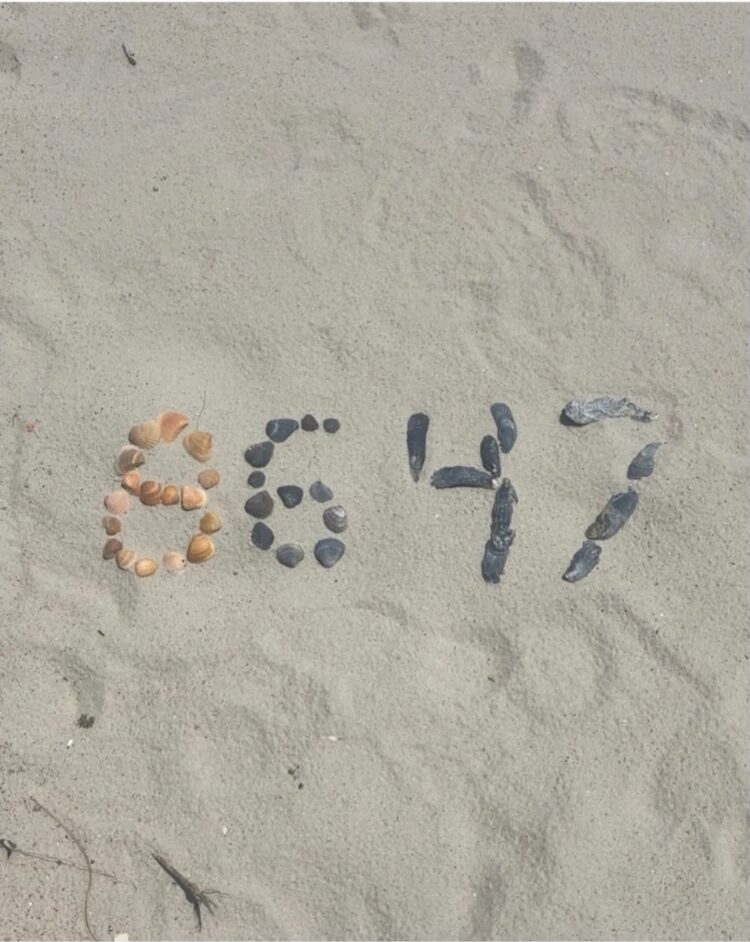 8647: هل يلمّح جيمس كومي إلى اغتيال دونالد ترامب؟ منشور يثير ذعر الولايات المتحدة 1 8647: هل يلمّح جيمس كومي إلى اغتيال دونالد ترامب؟ منشور يثير ذعر الولايات المتحدة 2025