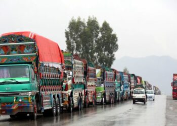 نمو الاقتصاد الأفغاني.. ارتفاع التبادل التجاري مع باكستان إلى 119 مليون دولار في شهر واحد 2025