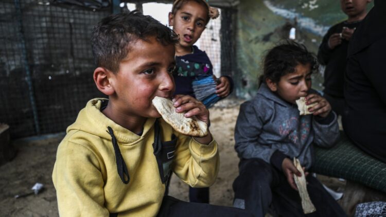 برنامج الأغذية العالمي: لم نُصرّح بتوزيع المساعدات مباشرة في غزة والعمل يقتصر على المخابز 2026