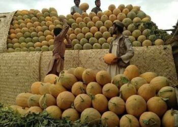 الاقتصاد الأفغاني في 2024: نمو بنسبة 2.5% مع تراجع الفساد والتضخم وارتفاع الإيرادات 2025