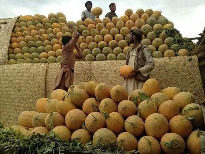 الاقتصاد الأفغاني في 2024: نمو بنسبة 2.5% مع تراجع الفساد والتضخم وارتفاع الإيرادات 1 الاقتصاد الأفغاني في 2024: نمو بنسبة 2.5% مع تراجع الفساد والتضخم وارتفاع الإيرادات 2025