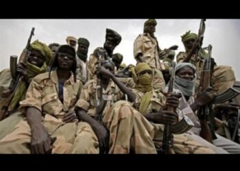 تشاد: بيان شديد اللهجة من أركان القوات المسلحة ينتقد التعامل المتساهل مع متسللين مسلحين من السودان 2025