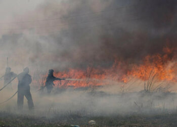 حرائق الغابات تشتعل في أقصى شرق روسيا.. موسكو تعلن حالة الطوارئ "فيديو" 2025