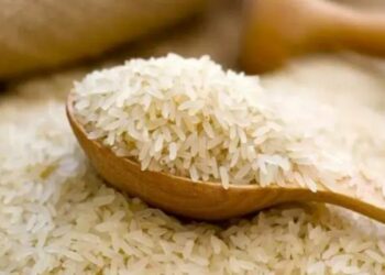 ارتفاع أسعار الأرز البسمتي في مصر بسبب حرب الهند وباكستان 2025
