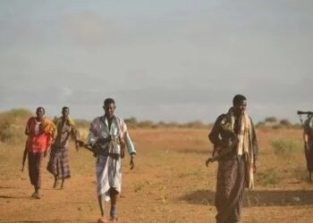 ضعف الدعم الحكومي يهدد هيران: "ماكويسلي" تقاتل وحدها في وجه حركة الشباب 2025