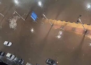 الإسكندرية تحت وطأة عاصفة 2025: خسائر بالملايين ودمار يضرب المدينة "فيديو وصور" 2025